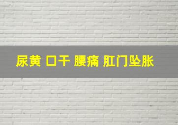 尿黄 口干 腰痛 肛门坠胀